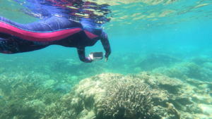 Superior natural environment of Mengkudu private island coral fields